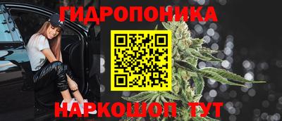 гашик Волгодонск