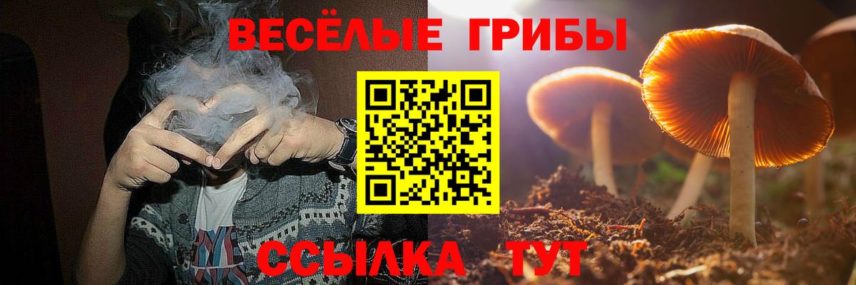 Псилоцибиновые грибы Psilocybe Надым